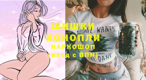 хмурый Бронницы