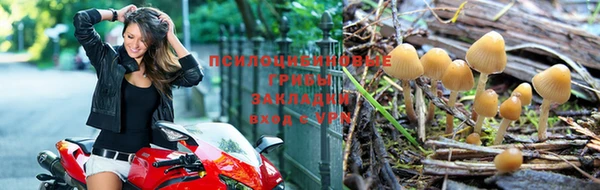 кокаин перу Бородино