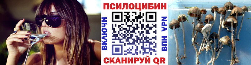 Псилоцибиновые грибы GOLDEN TEACHER Электрогорск