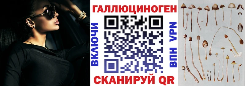 Галлюциногенные грибы MAGIC MUSHROOMS  что такое наркотик  Электрогорск 